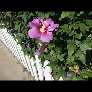 Meet your Posher, Mckenna